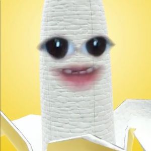 Meet your Posher, Anai